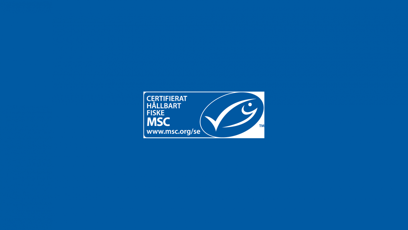 MSC