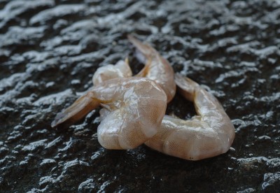 vannameiräka